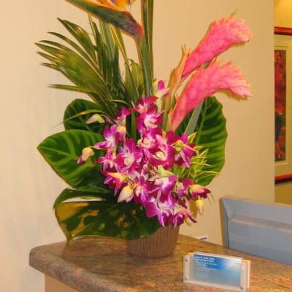 Tropical arrangement with pink orchids and bird-of-paradise in a pot