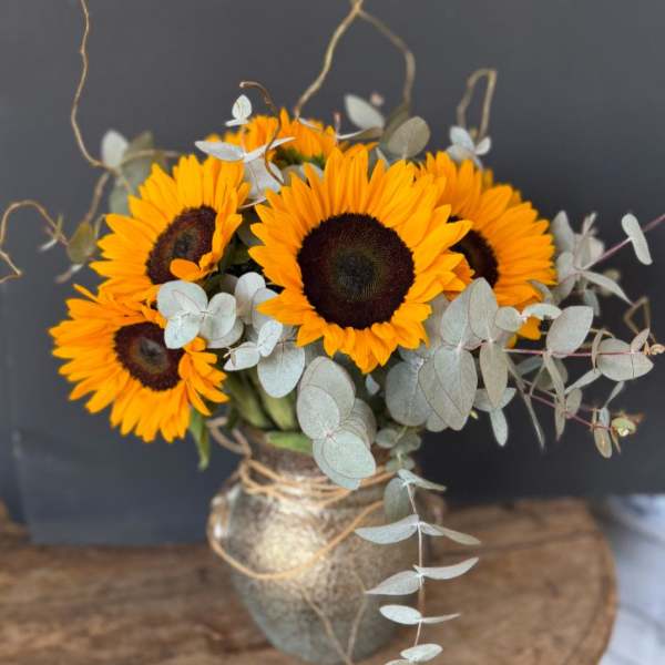 Golden Harvest Sunflower