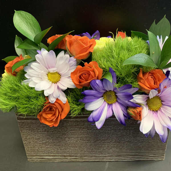 Orange roses and purple daisies in a rectangular planter