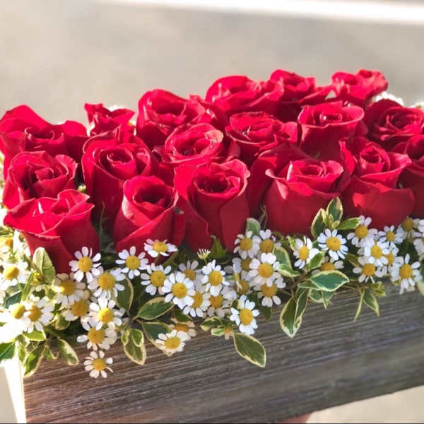 Red roses arranged in a rectangular box with small white daisies