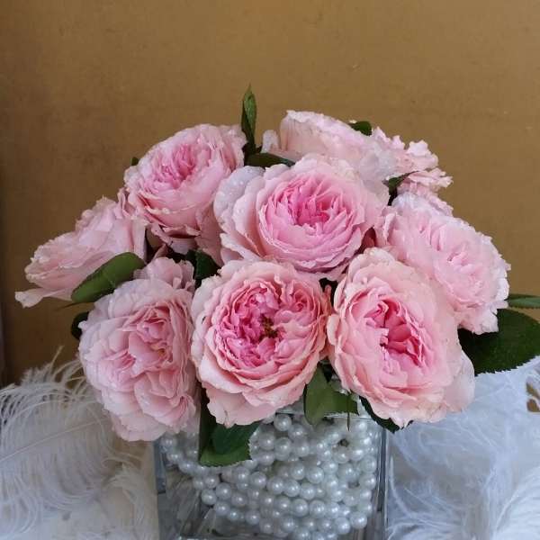 Pink roses in a square glass vase filled with white pearls