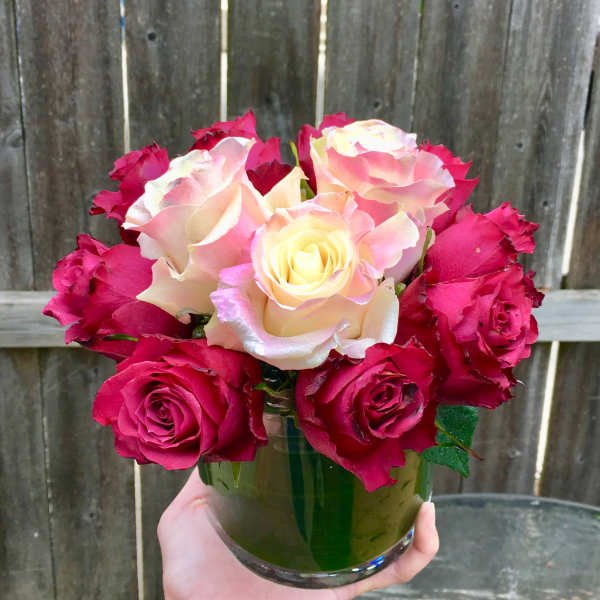 Short arrangement of cream and red roses in a clear glass vase held in one hand