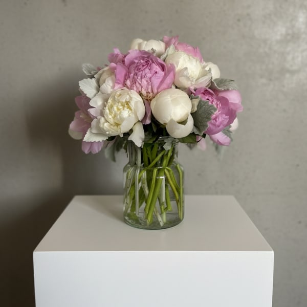 Peony Perfection