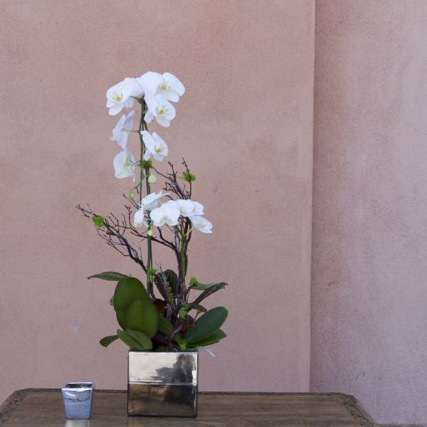White orchid arrangement in a square silver vase with a small candle beside it