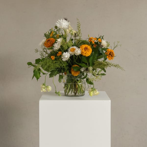 Gaia - Sustainable and Local (Designer's Choice)