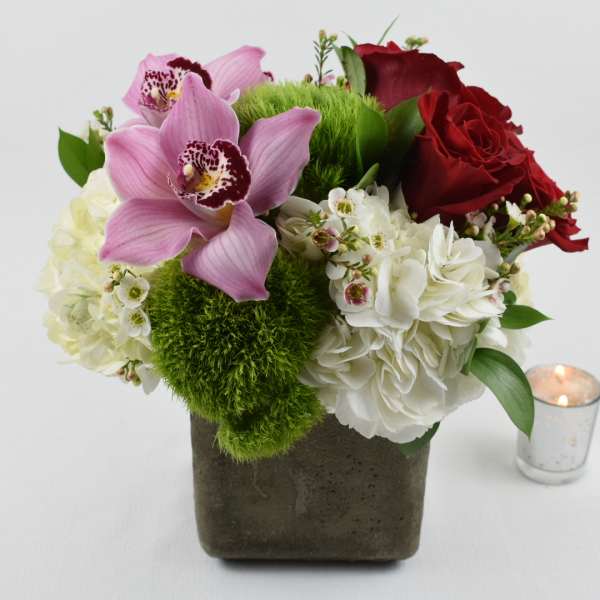 Touch of Love