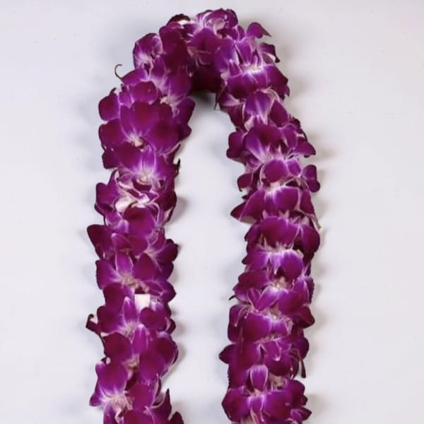 Lei Aloha Designs