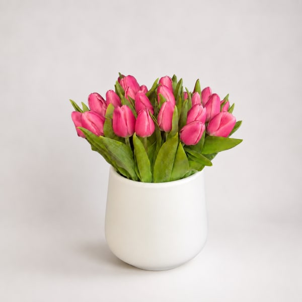 Thirty Pink Tulips