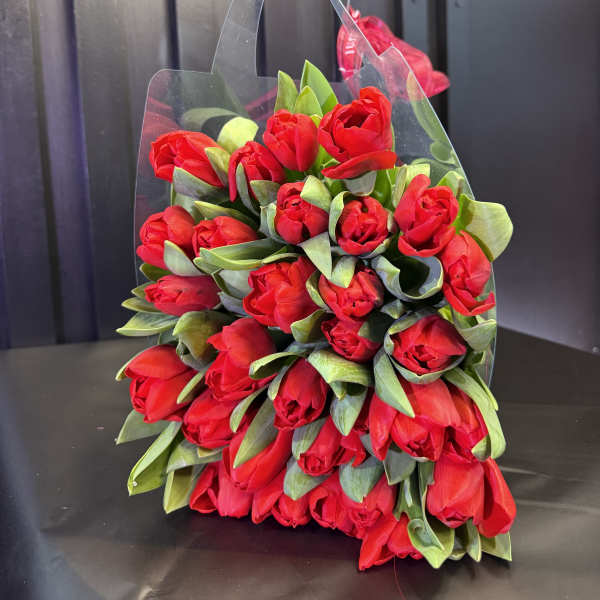 Bundle of red tulips in a clear tote-style holder