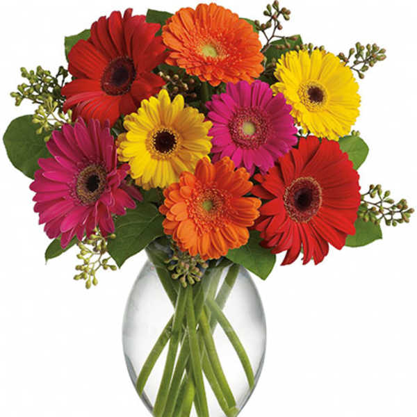 Mixed bright gerbera daisies in red, orange, yellow, and pink arranged in a clear glass vase