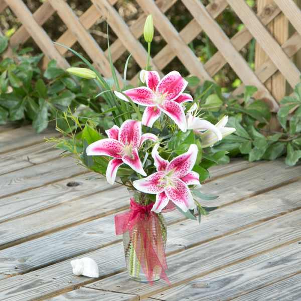 Pink stargazer lilies in a glass vase with a pink ribbon