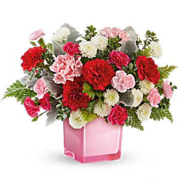 Pink and red carnations in a pink square vase