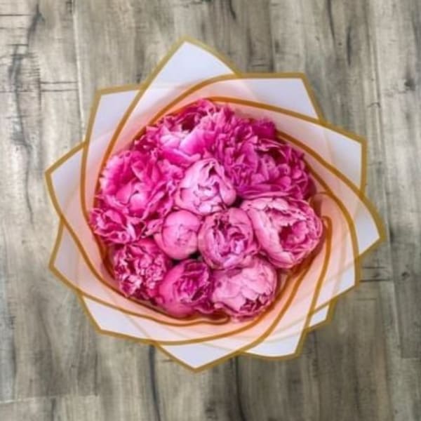 Peony Love
