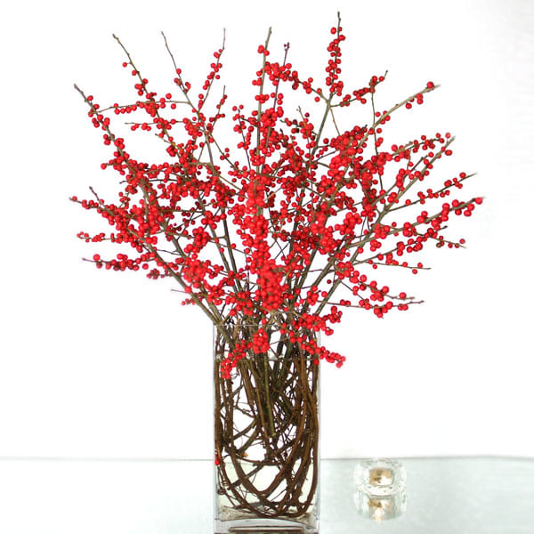Red berry branches in a clear glass vase