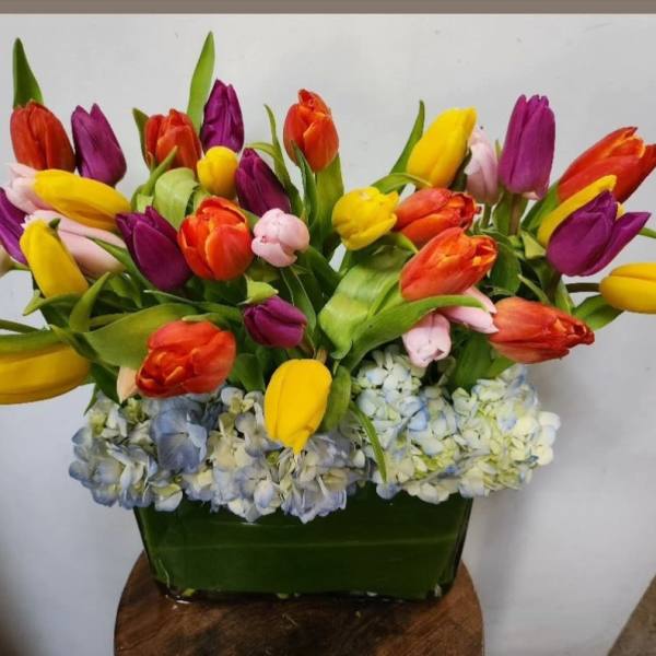 Colorful tulip arrangement in a green rectangular vase with blue hydrangeas