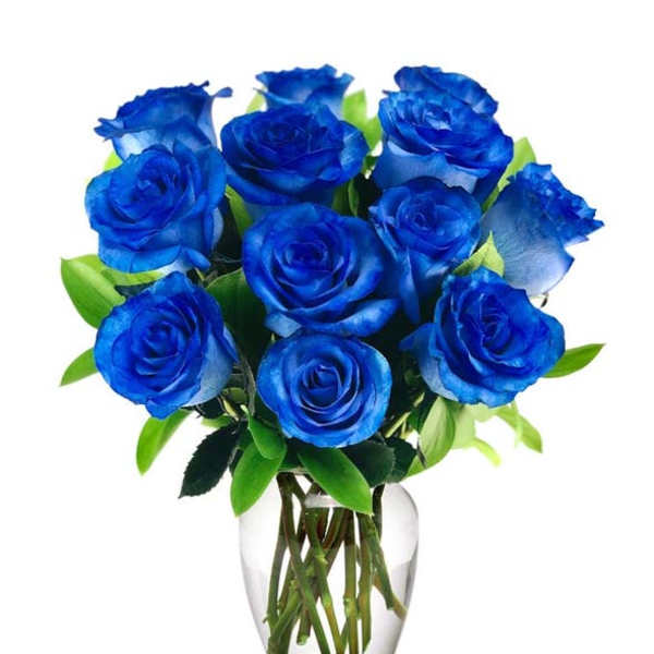 Bouquet of vivid blue roses in a clear glass vase