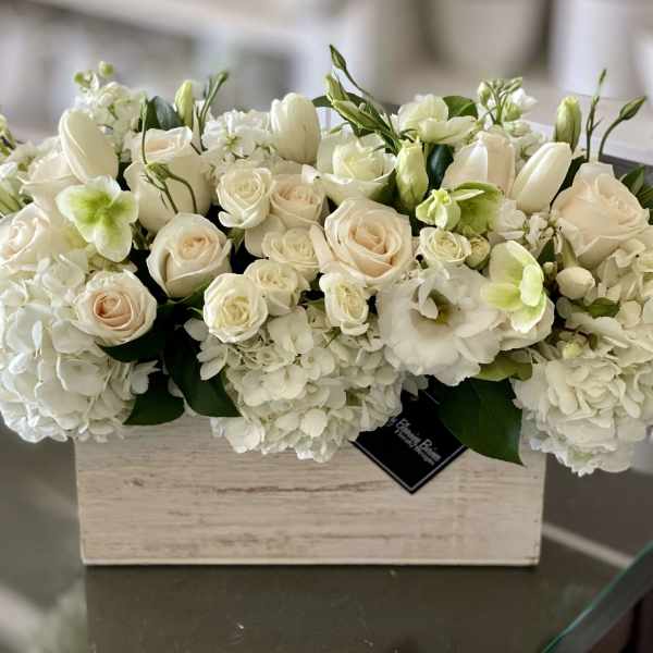 Giselle - FB