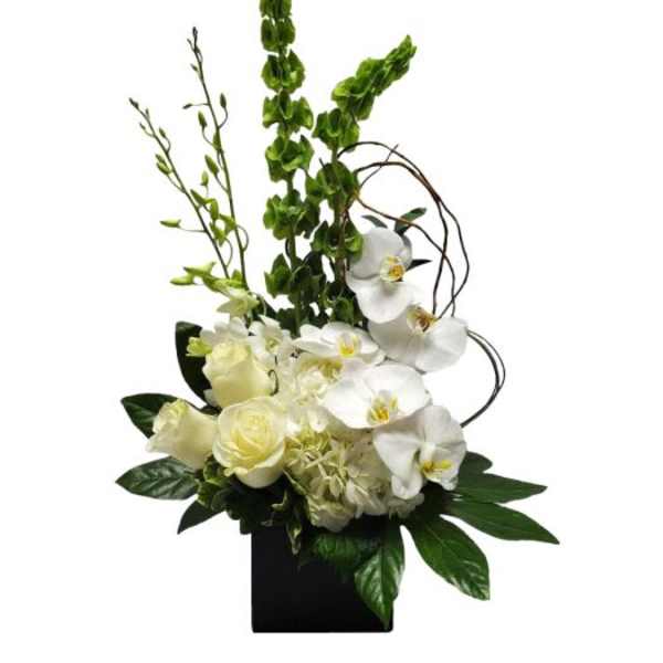 Tall modern arrangement of white orchids, roses, and hydrangea with green spikes in a black square vase