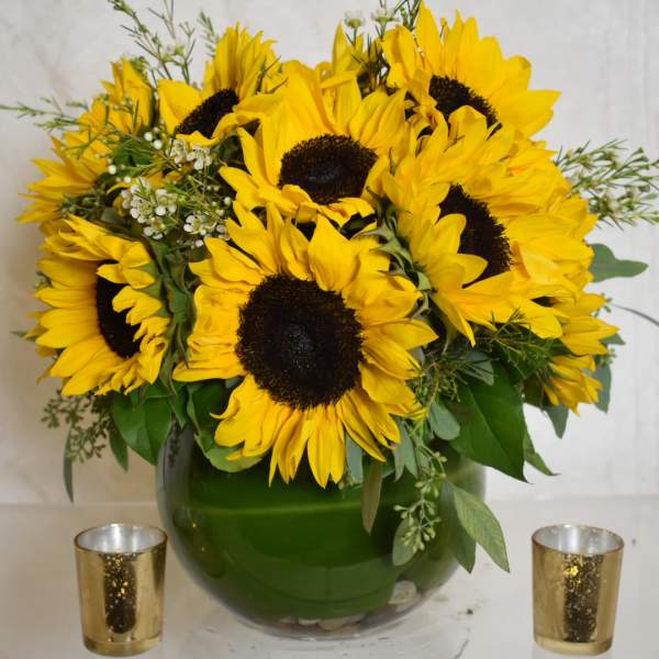 sunflower love