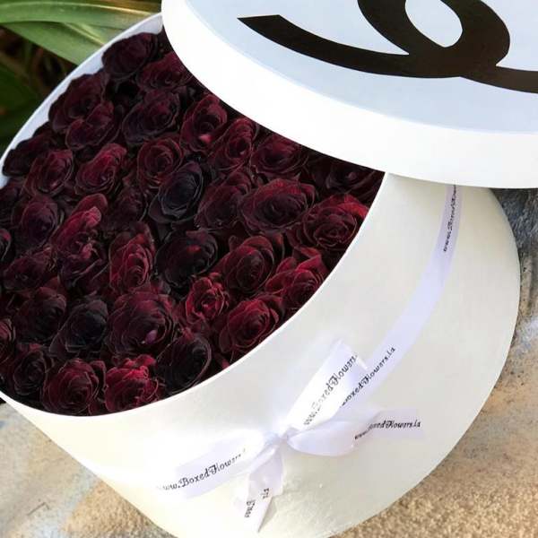 Box of dark red roses with a white lid and ribbon
