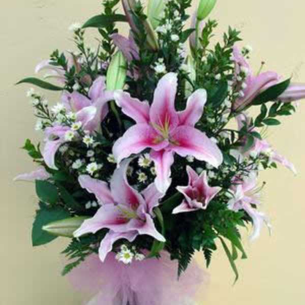 Pastel Lilies