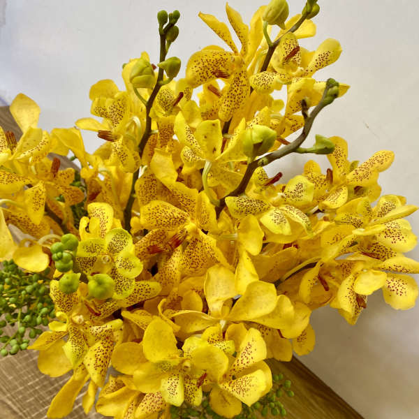 Yellow orchid bouquet with speckled petals and green buds