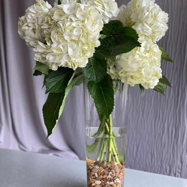 White hydrangea bouquet in a clear glass vase with pebbles