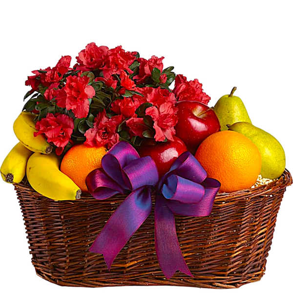 Basket of red flowers with assorted fruit and a purple ribbon
