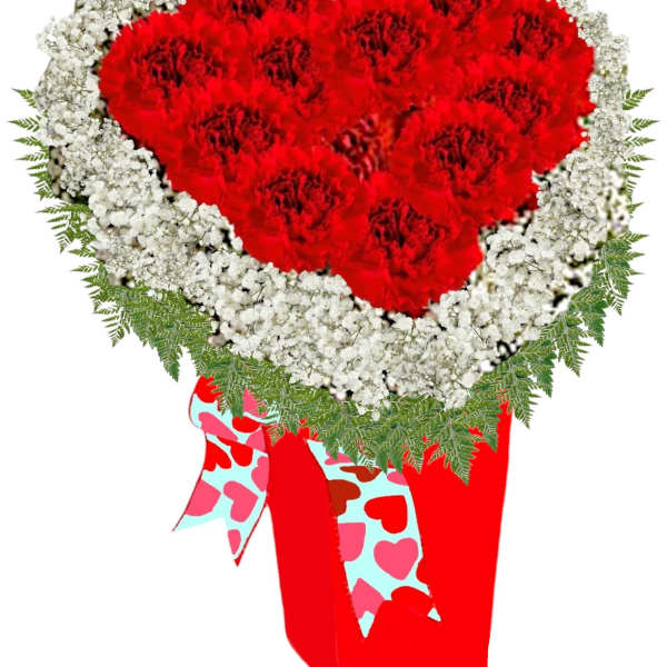 Heart-shaped bouquet of red carnations with white baby's breath