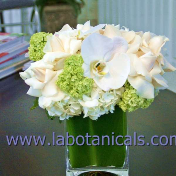 White orchids and green hydrangeas in a clear glass vase