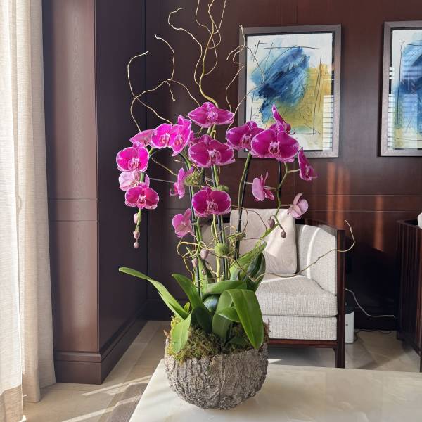 Pink orchids arranged in a rustic planter on a table