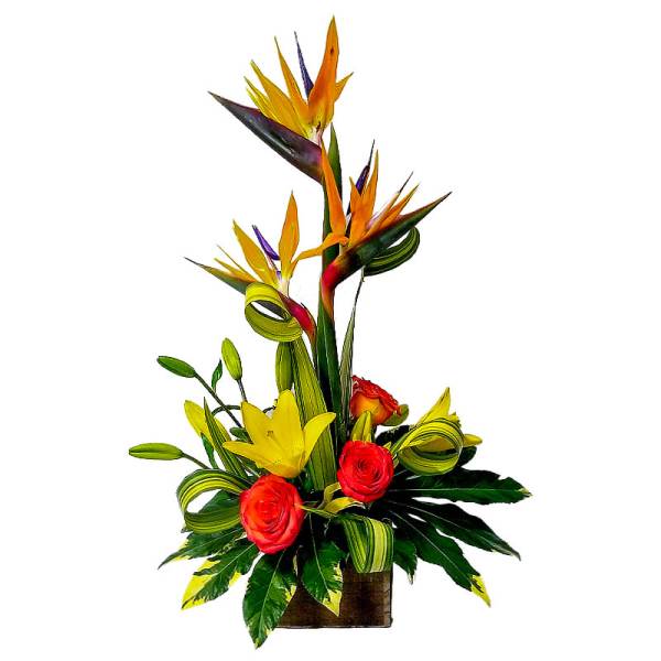 Tropical flower arrangement with bird of paradise and roses in a wooden container