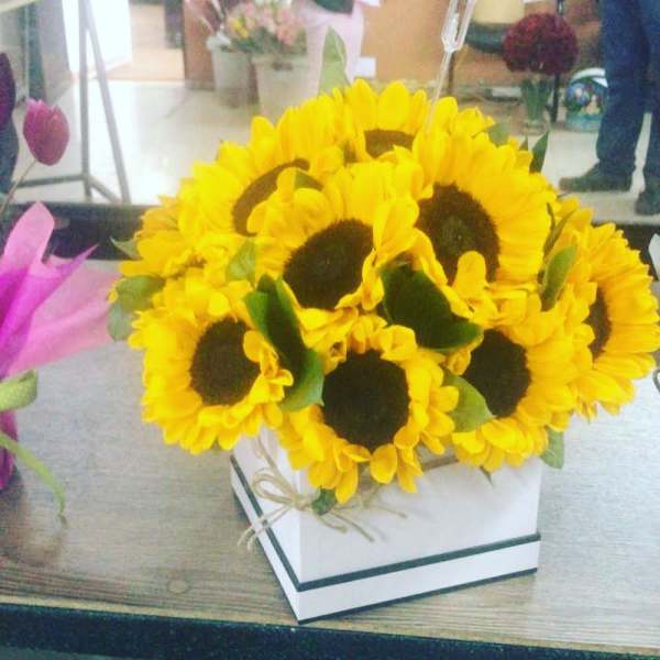 Sunflowers in a hat box