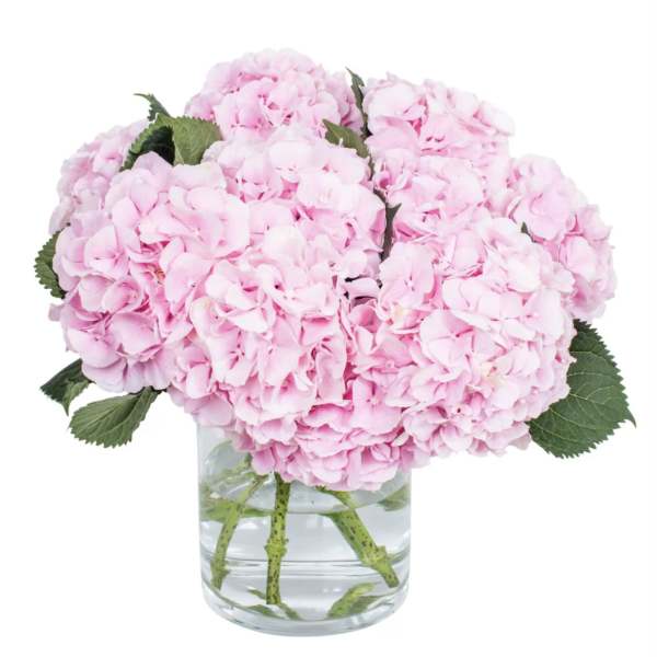Pink hydrangea bouquet in a clear glass vase
