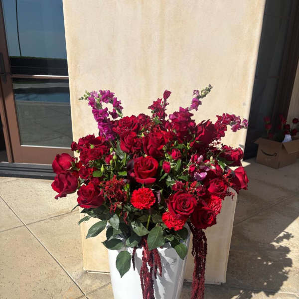 Luxury Velvet Romance