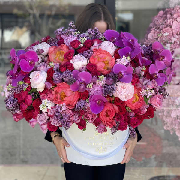 Orchid Delight
