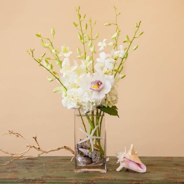 White orchid arrangement in a clear glass vase with shells on a table