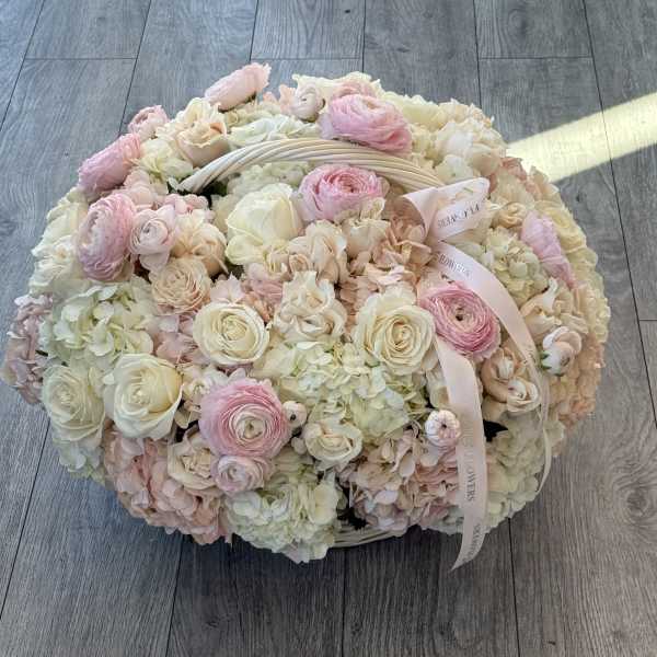 Katy