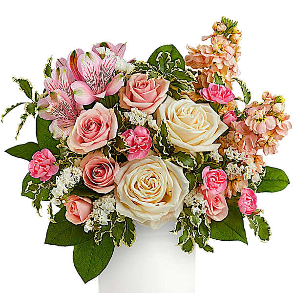 Pink and cream roses with alstroemeria in a white vase