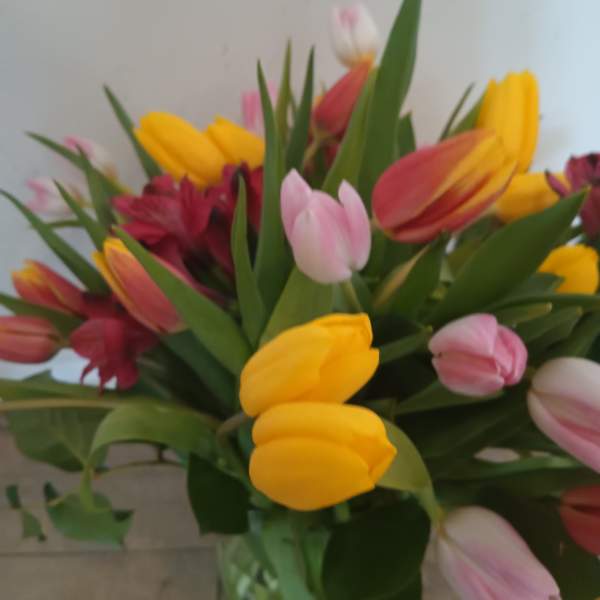 Bouquet of yellow, pink, and red tulips with green foliage