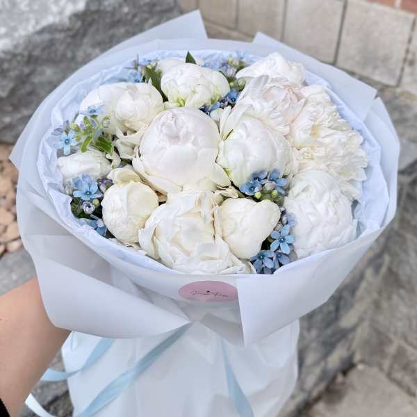 Cloud Peonies