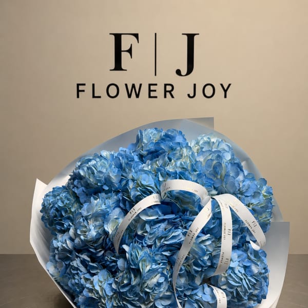 Large bouquet of blue hydrangeas wrapped in white paper with ribbon