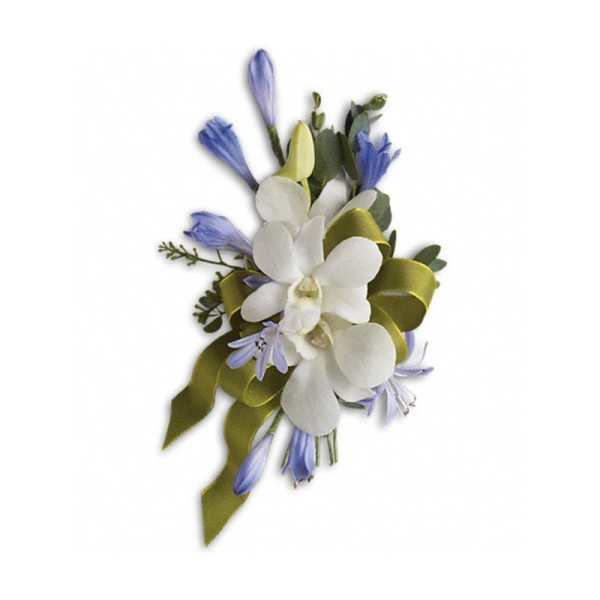 White orchid corsage with blue accents and olive ribbon