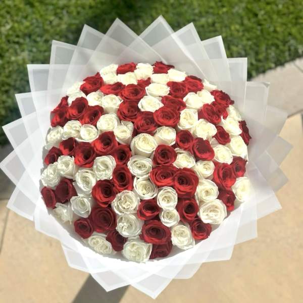 Round bouquet of red and white roses wrapped in translucent paper