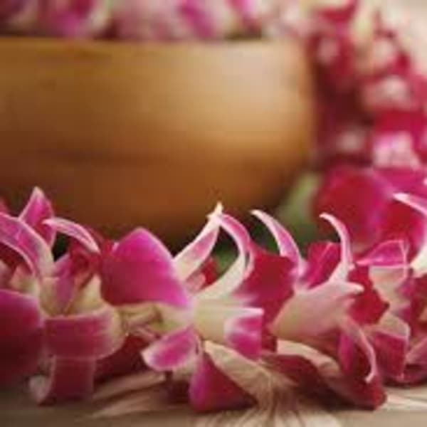 Pink orchid petals arranged around a gold bowl