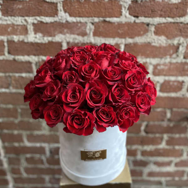 50 Red Roses Box - Pasadena Flowers