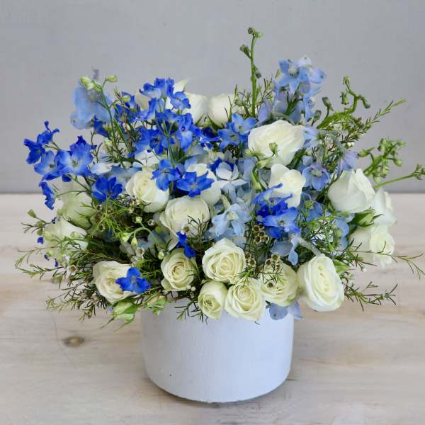 Low arrangement of white roses and blue delphinium in a white pot