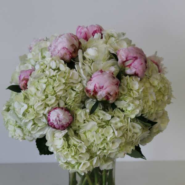Pink peonies and white hydrangeas in a clear glass vase