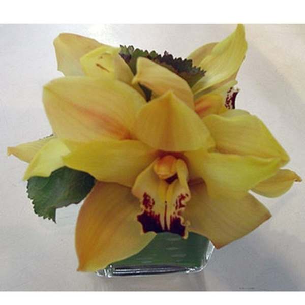 Yellow orchid arrangement in a square glass vase