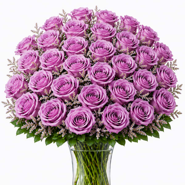 3 Dozen Lavender Roses